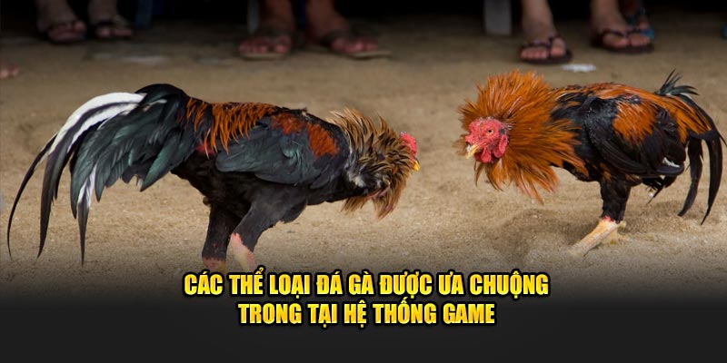 cac-the-loai-da-ga-duoc-ua-chuong-trong-tai-he-thong-game.jpg