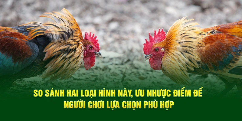 so-sanh-hai-loai-hinh-nay-uu-nhuoc-diem-de-nguoi-choi-lua-chon-phu-hop.webp